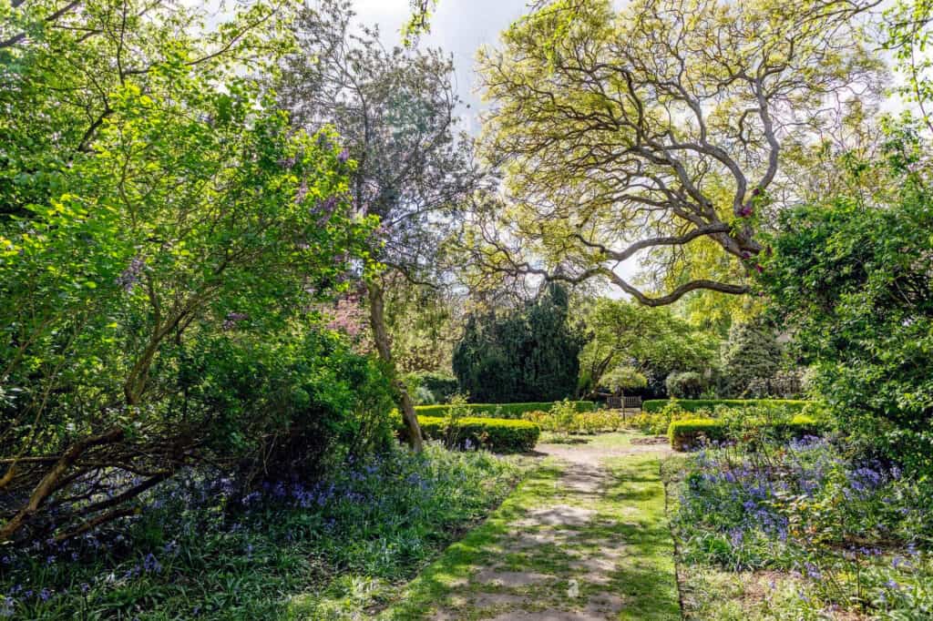 beautiful path in Cannizaro Park