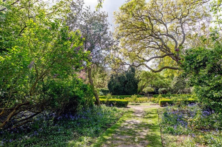 beautiful path in Cannizaro Park